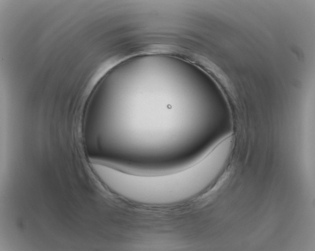 X0000113871473200910081716