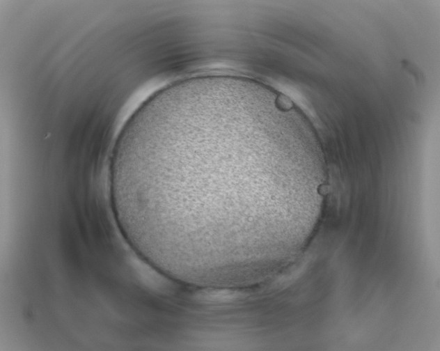 X0000113871474200910081716