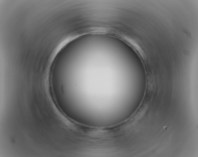 X0000113871475200910081716