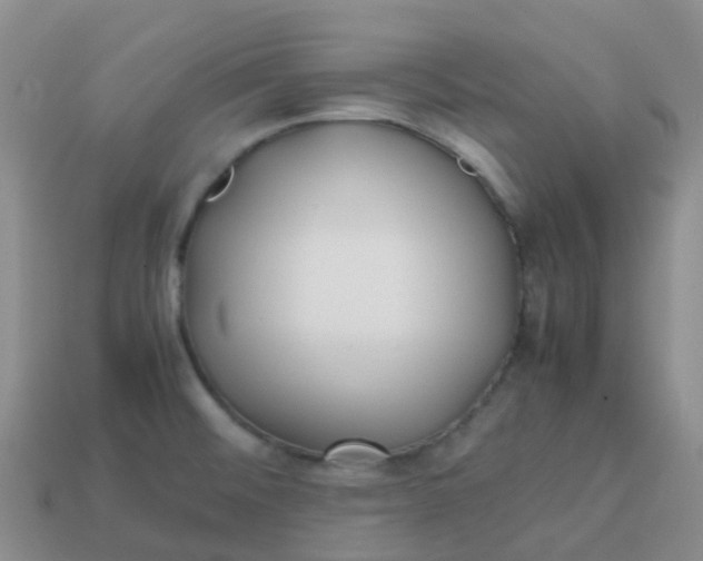 X0000113871476200910081716