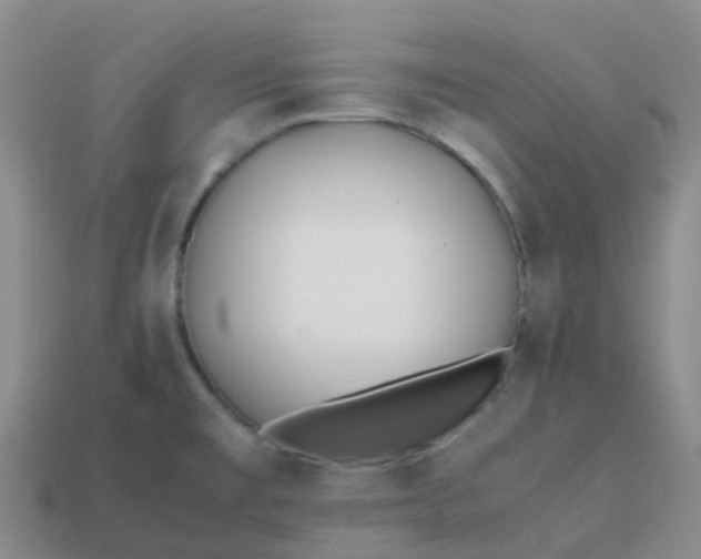 X0000113871477200910081716