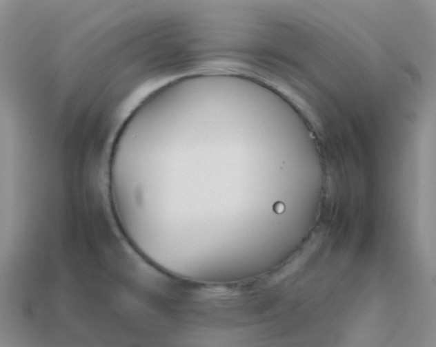 X0000113871478200910081716