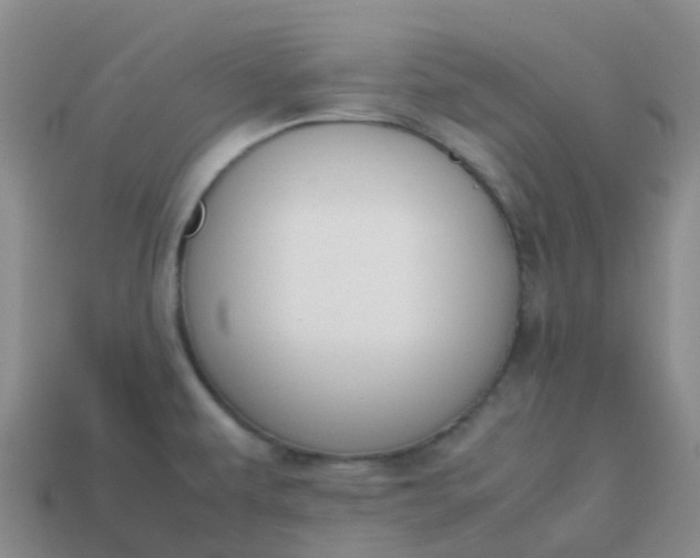 X0000113871479200910081716