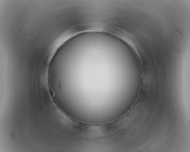 X0000113871480200910081716