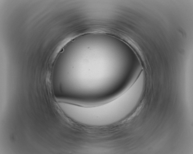 X0000113871481200910081716