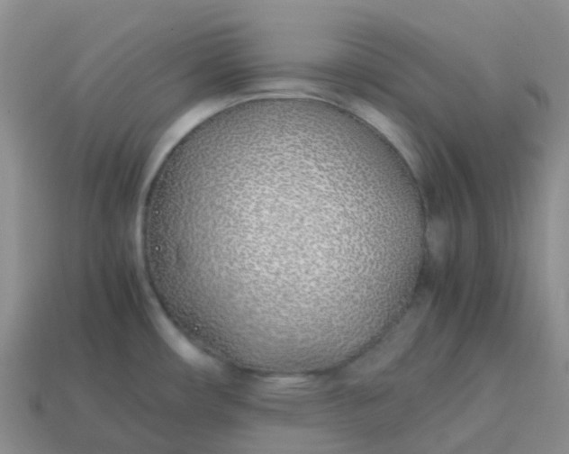 X0000113871482200910081716