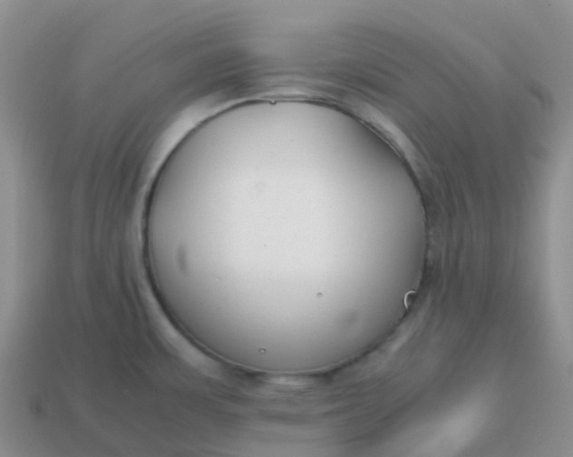 X0000113871483200910081716