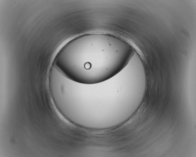 X0000113871484200910081716