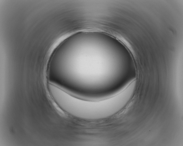 X0000113871485200910081716