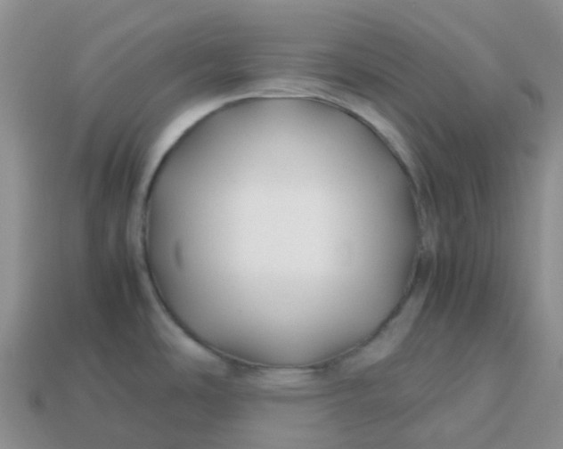 X0000113871486200910081716