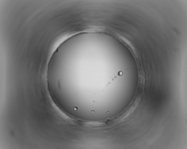 X0000113871487200910081716