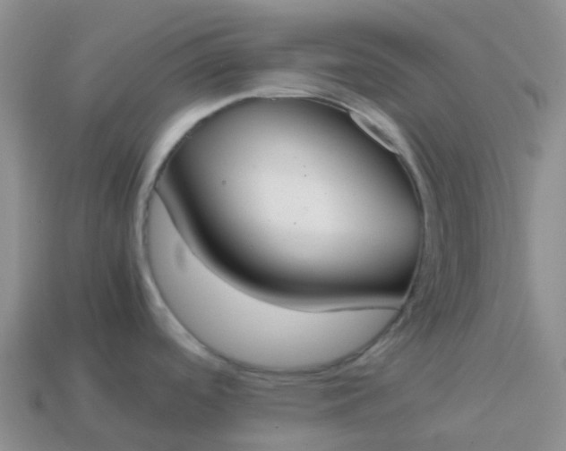 X0000113871488200910081716