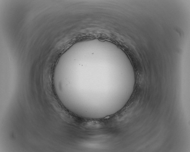 X0000113871489200910081716