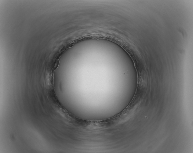 X0000113871490200910081716