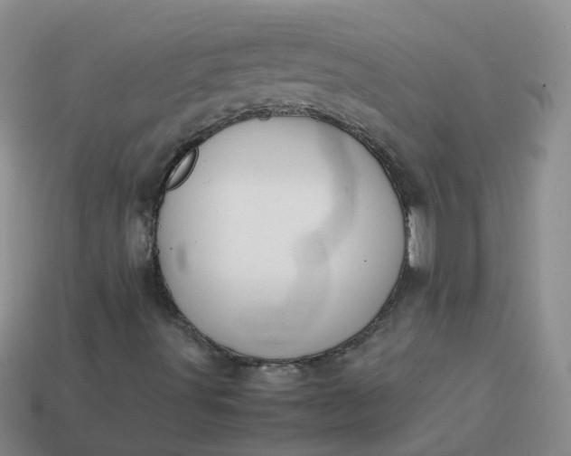 X0000113871491200910081716