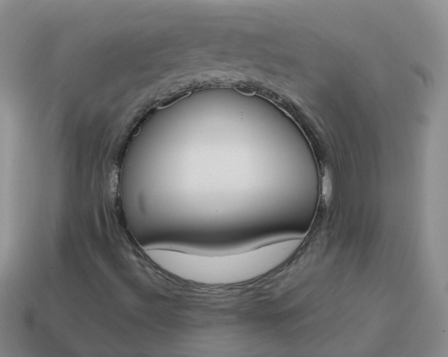 X0000113871492200910081716