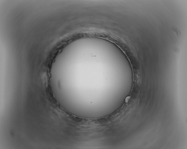 X0000113871493200910081716