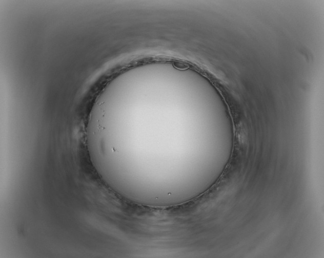 X0000113871495200910081716