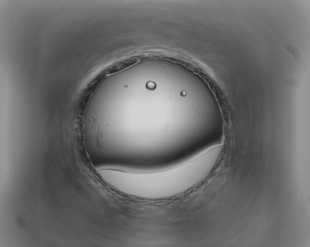 X0000113871496200910081716