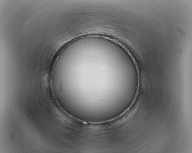 X0000113871497200910081716