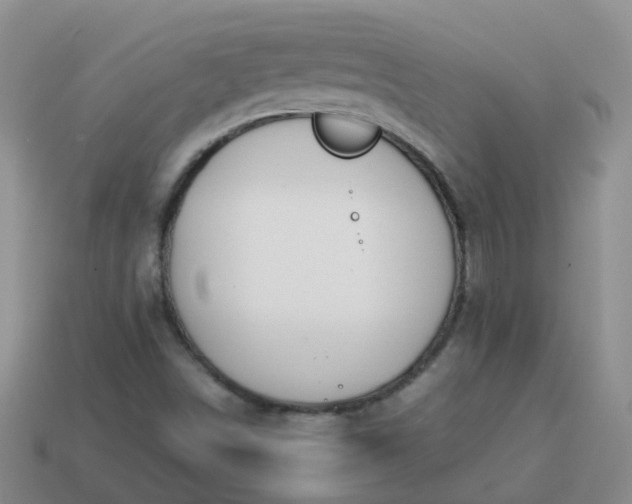 X0000113871498200910081716