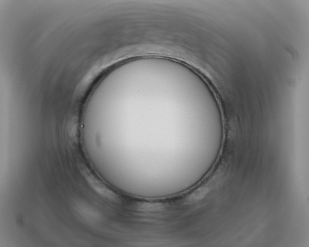 X0000113871499200910081716