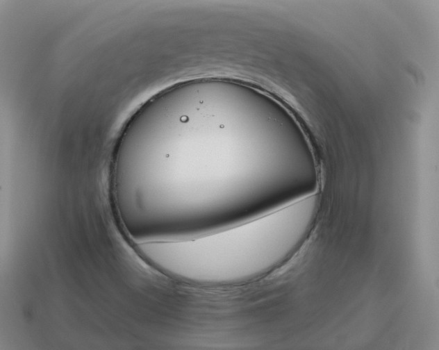 X0000113871500200910081716