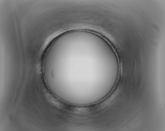 X0000113871501200910081716