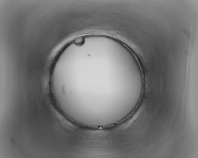 X0000113871502200910081716