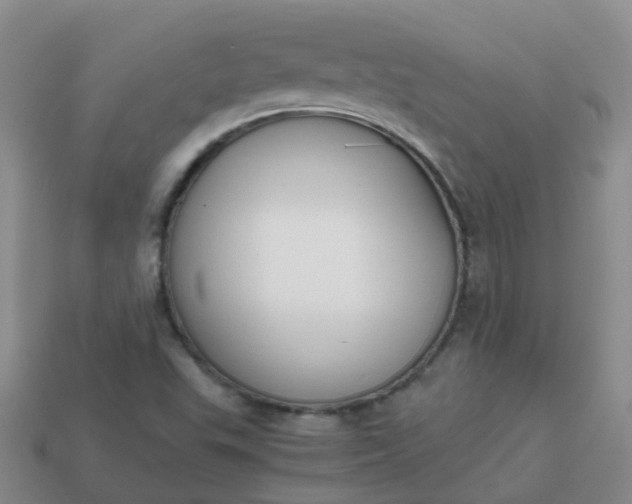 X0000113871503200910081716