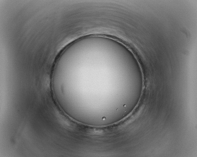 X0000113871505200910081716