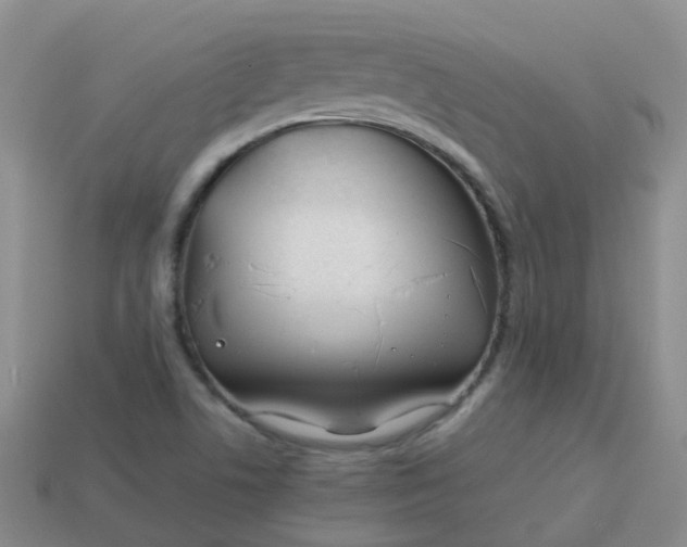 X0000113871506200910081716