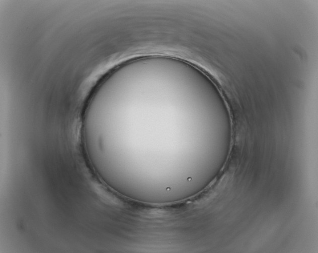 X0000113871507200910081716