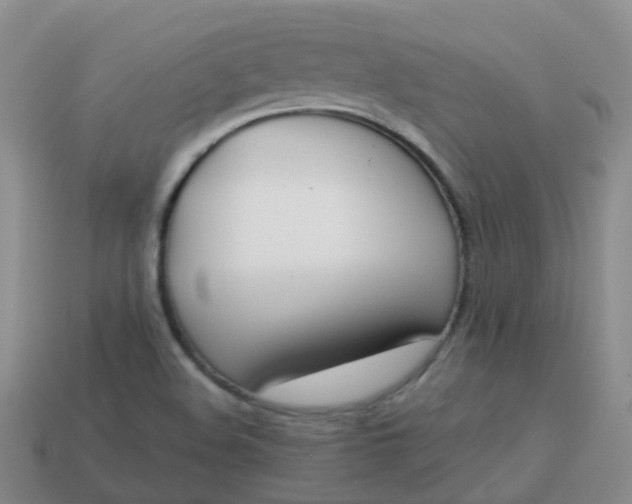 X0000113871508200910081716