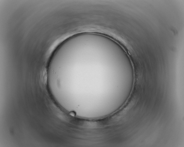 X0000113871509200910081716