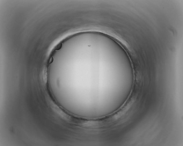 X0000113871510200910081716