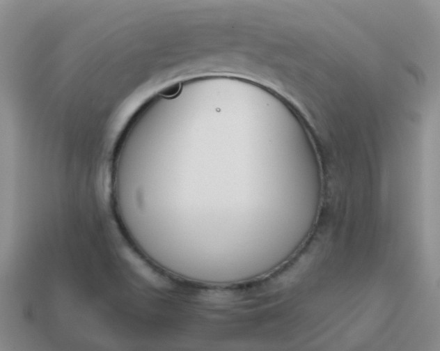 X0000113871511200910081716