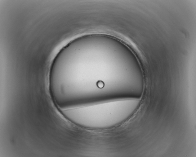 X0000113871512200910081716