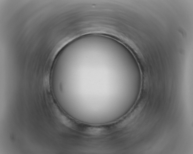 X0000113871513200910081716