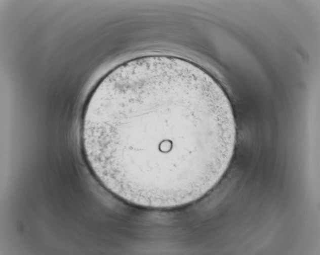 X0000113871514200910081716