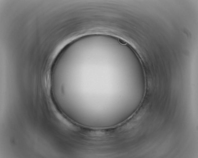 X0000113871515200910081716