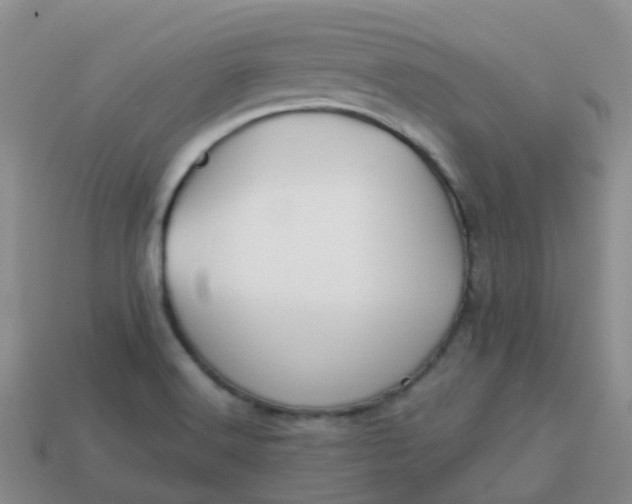 X0000113871516200910081716