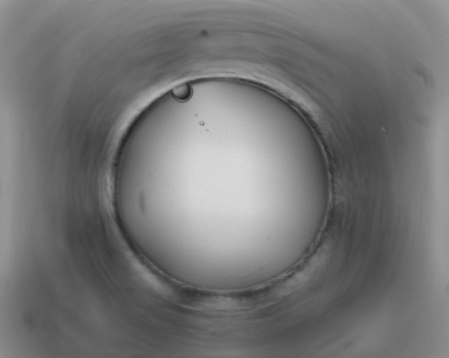 X0000113871517200910081716