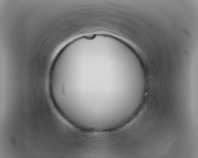 X0000113871518200910081716