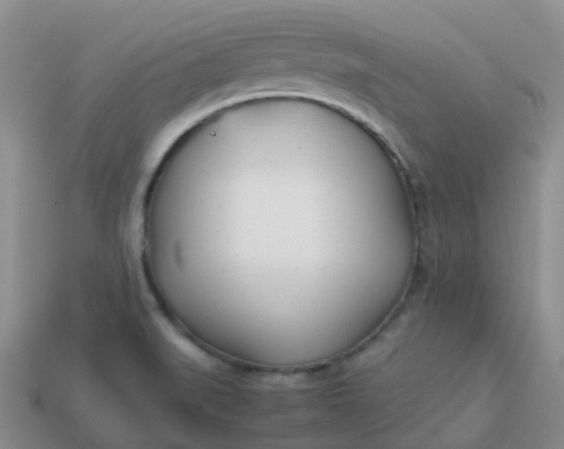 X0000113871519200910081716