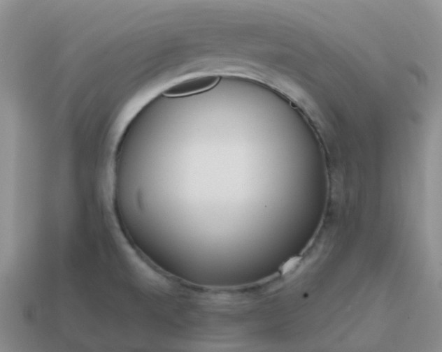 X0000113871520200910081716