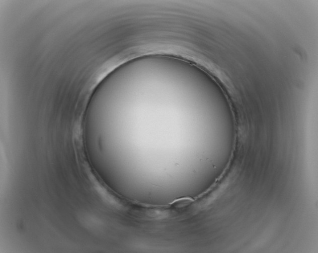 X0000113871521200910081716