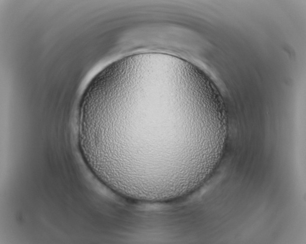 X0000113871522200910081716