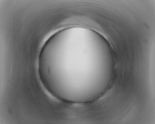 X0000113871523200910081716