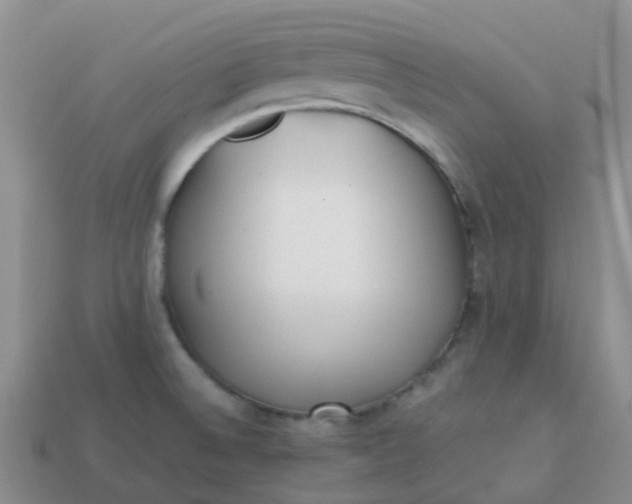 X0000113871524200910081716